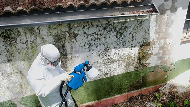 Top rated local Attic Mold Removal specialists in Glen Mills, PA